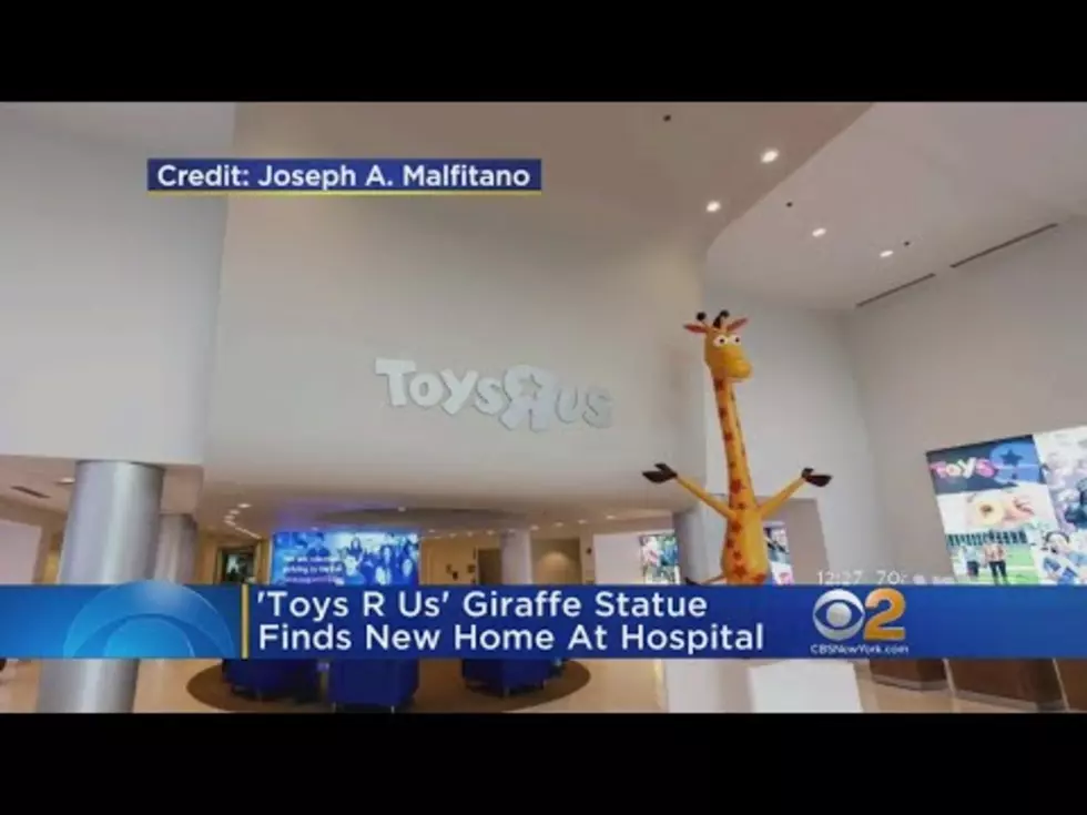 Geoffrey The Giraffe Has a New Home in New Jersey