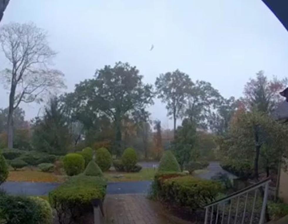 Video Doorbell Captures Small Plane Crash in NJ