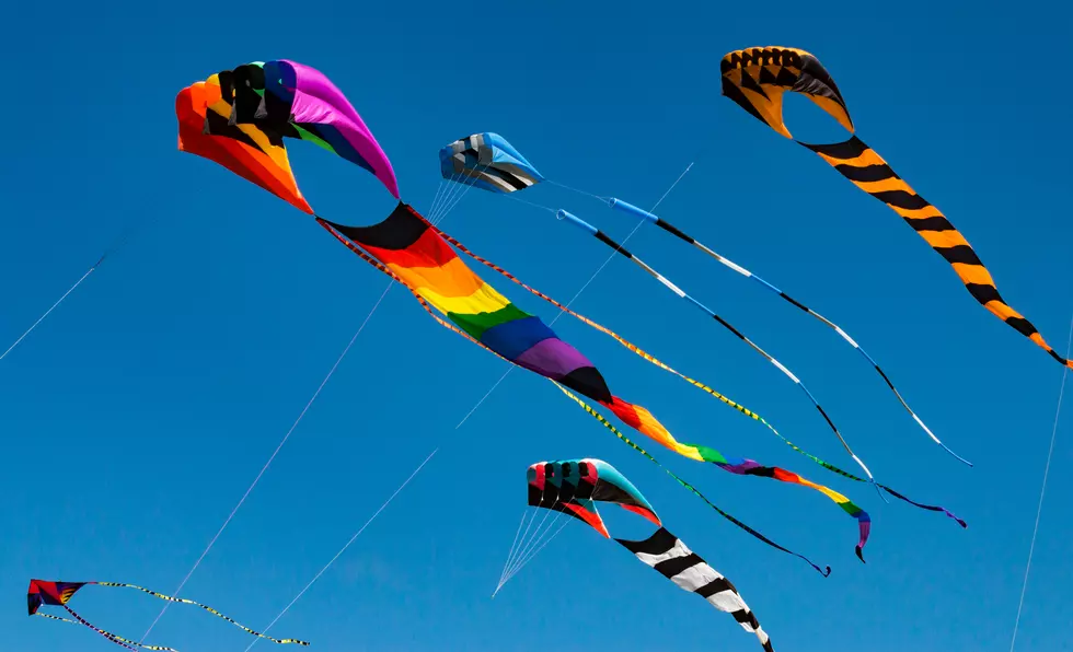 5th Annual LBI FLY International Kite Festival Guide