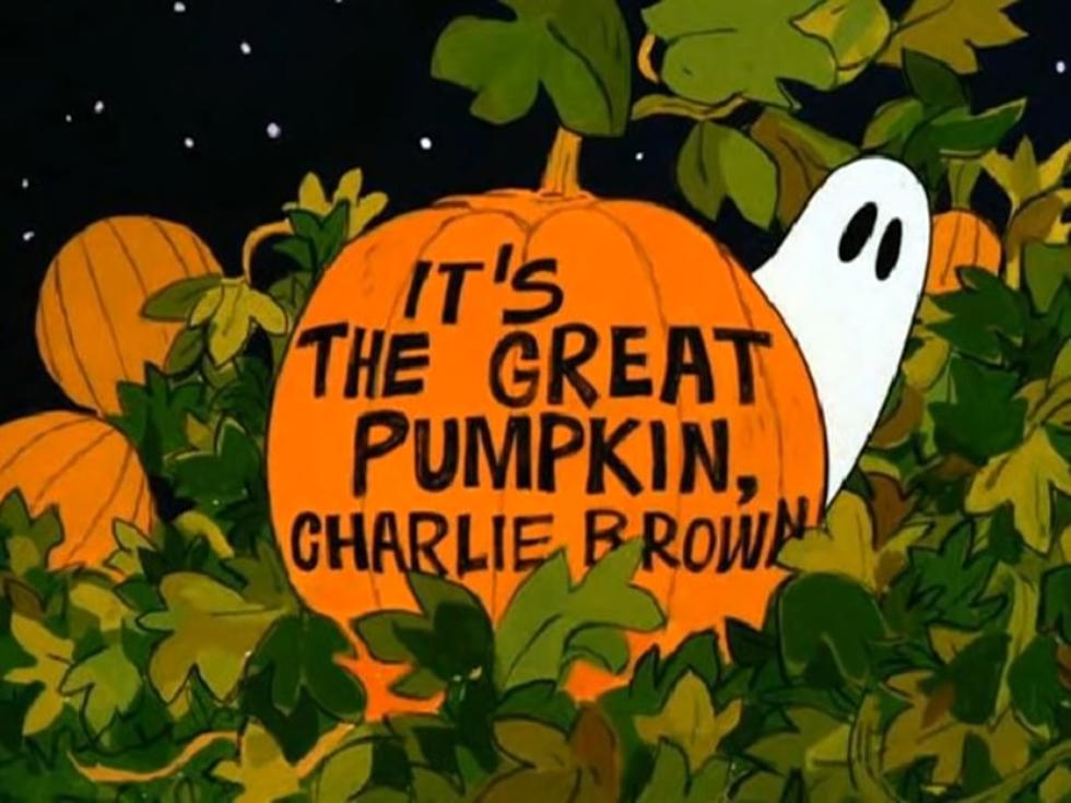Watch “The Great Pumpkin” At Insectropolis