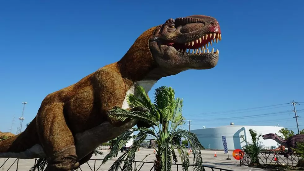 Nothing Can Go Wrong At A Drive-Thru Dinosaur Park