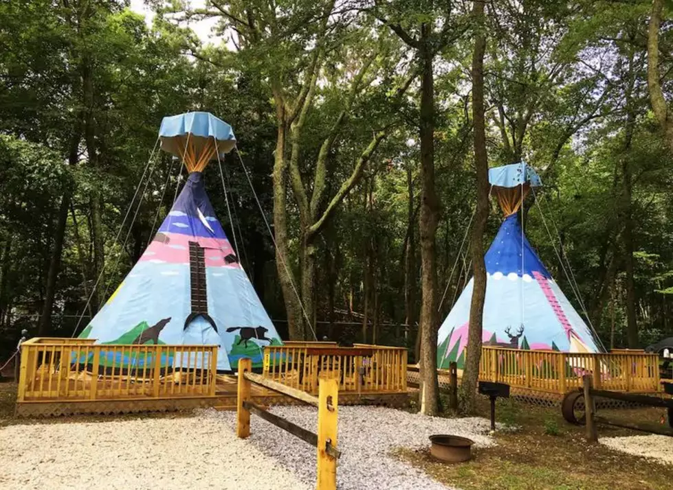 Check Out These Pet-Friendly Teepees on Airbnb