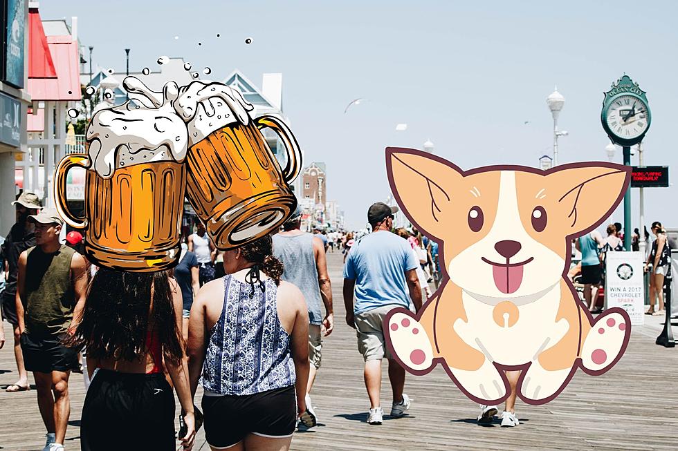 Pups And Pints Returns To This NJ Beach Town