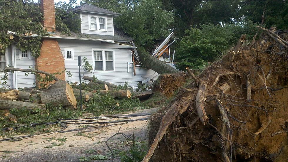 Photos Show Damage From Weekend Storms In Freehold