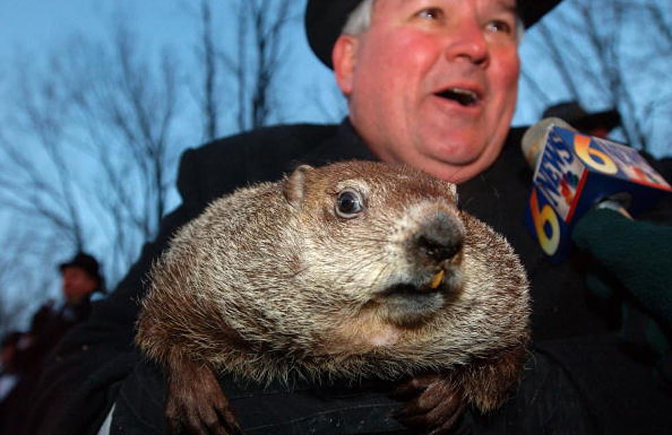 Groundhog Day is Tomorrow