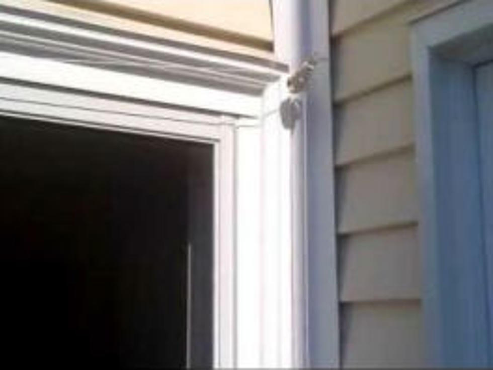 Genius Invention to Close the Sliding Screen Door When Dogs Open it [VIDEO]