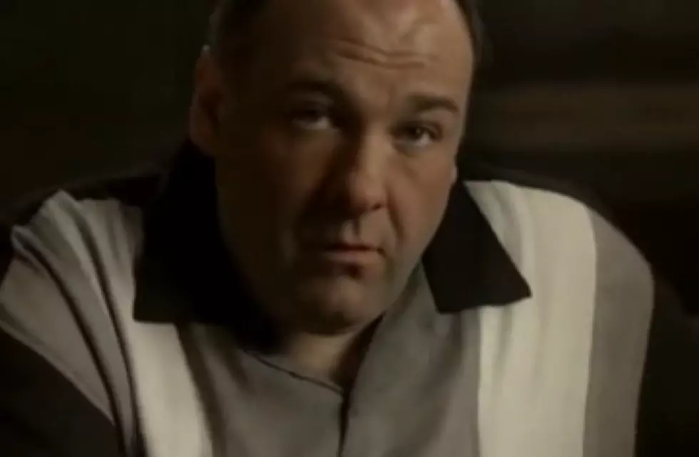 Finally an Answer &#8211; Did Tony Die at the End of the Sopranos?
