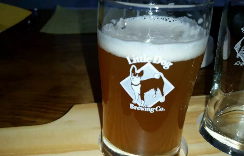 Little Dog Brewing Co. Opens in Neptune City
