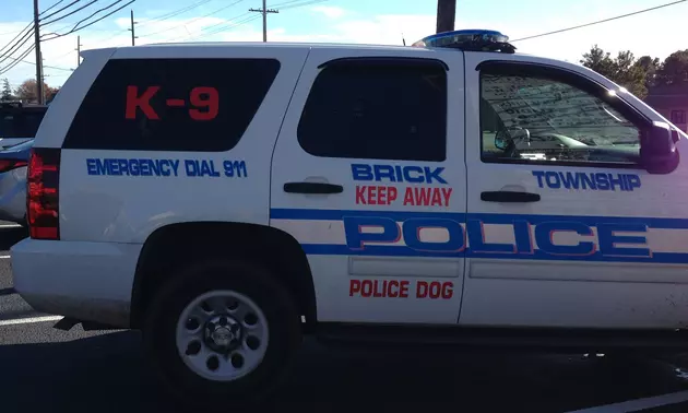 Great Demonstration From The Brick K9 Unit