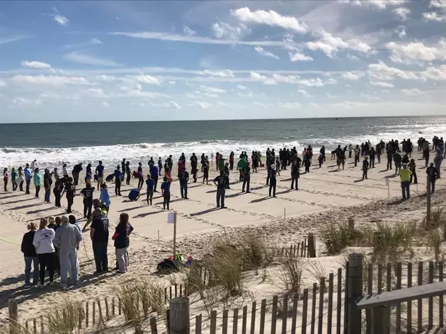 New World Record At the Jersey Shore