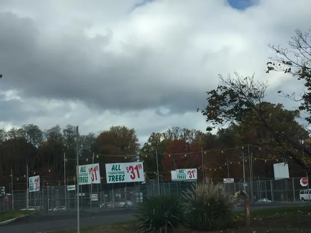 Price Posted in Middletown for 2017 Real Xmas Trees