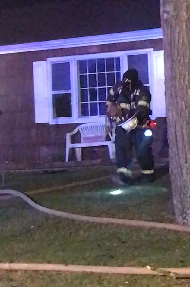Fire Fighters in Brick Save a Dog&#8217;s Life