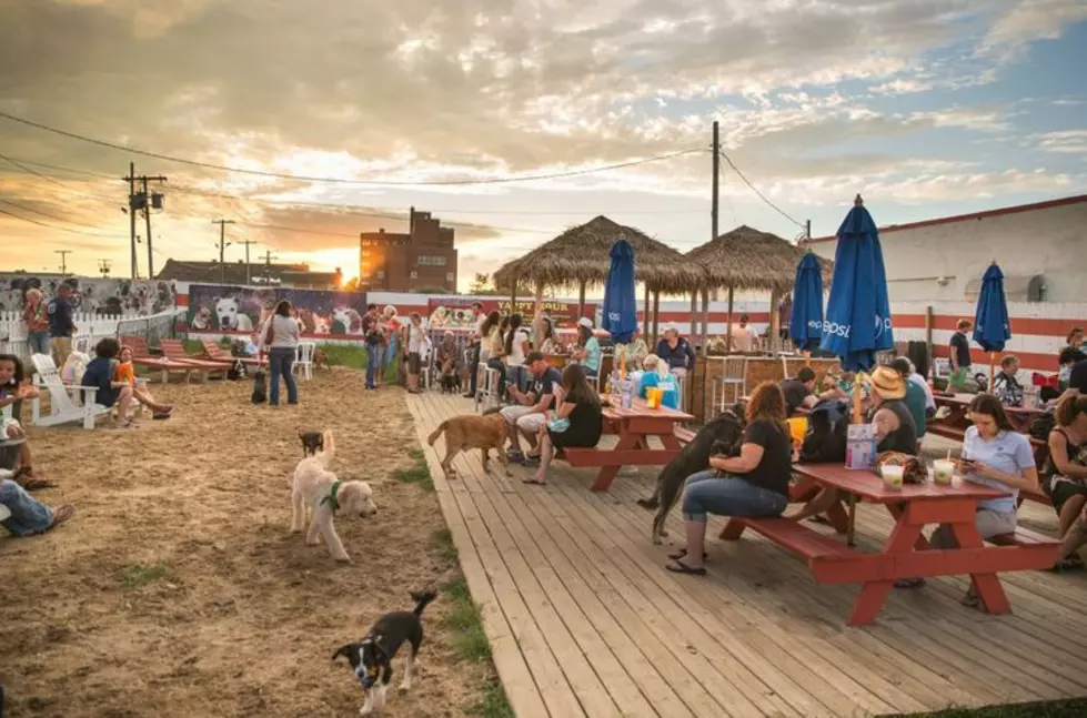 Yappy Hour Hours & Fundraiser Schedule For 2019 Season