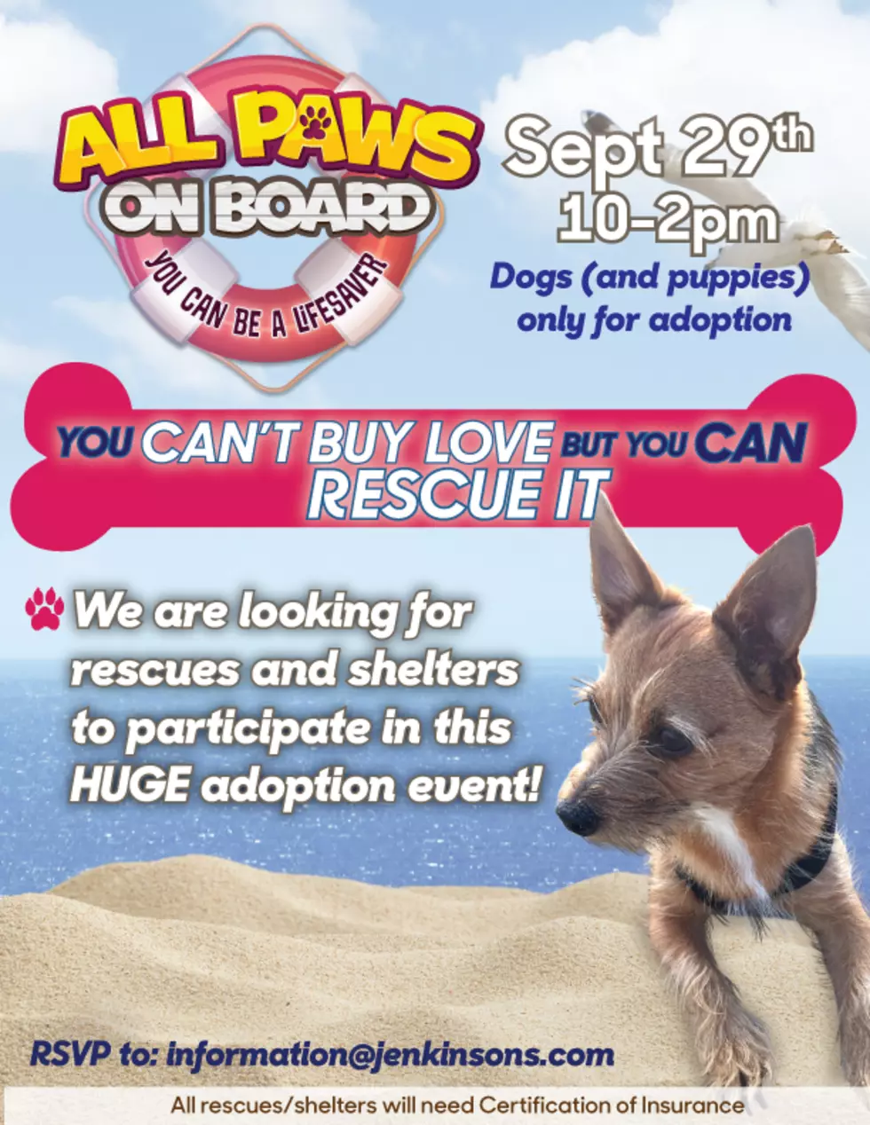 Come Rescue a Dog on the Beach at Jenkinson&#8217;s