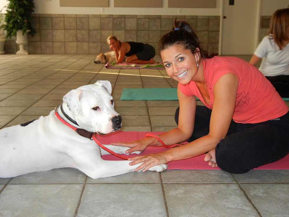 You Can Now Attend Yoga Classes With Your Dog In Tinton Falls
