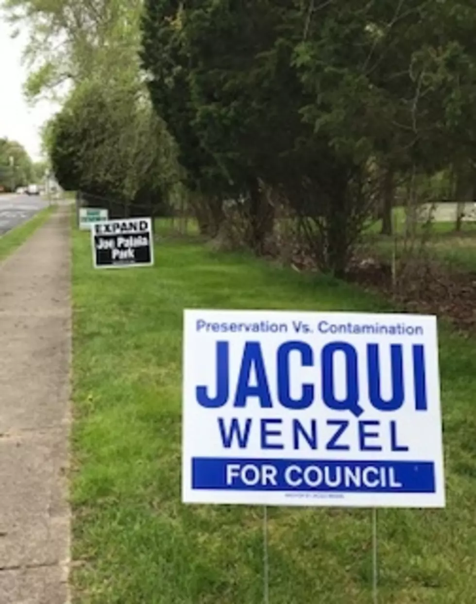 Jacqui Wenzel Running for Council