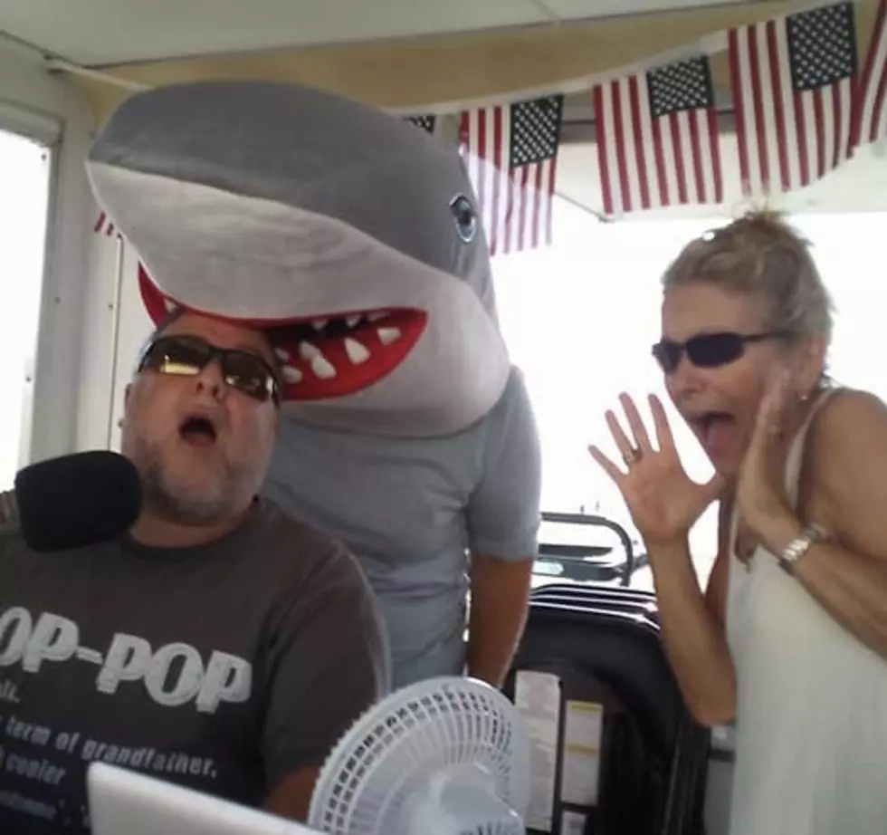 Shark Week Kicks Off The Jersey Shore