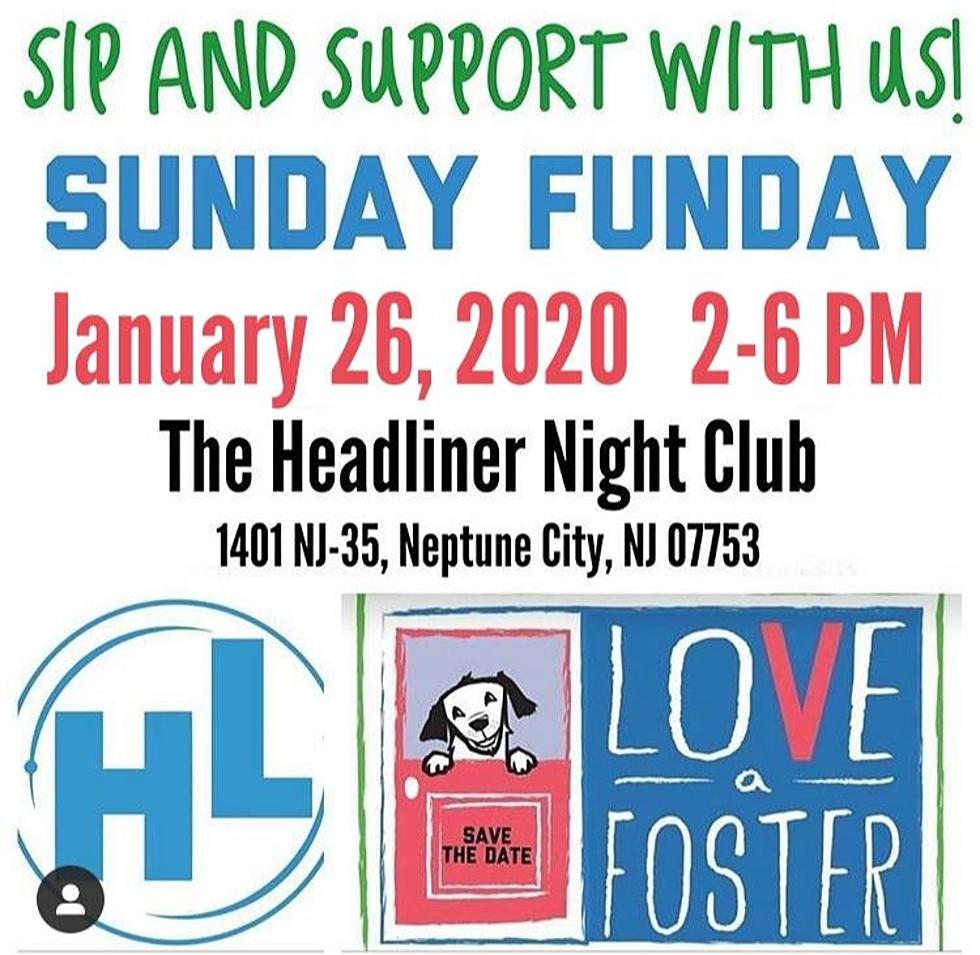 Sip Mimosas With Love A Foster On Jan. 26 To Help Save Lives