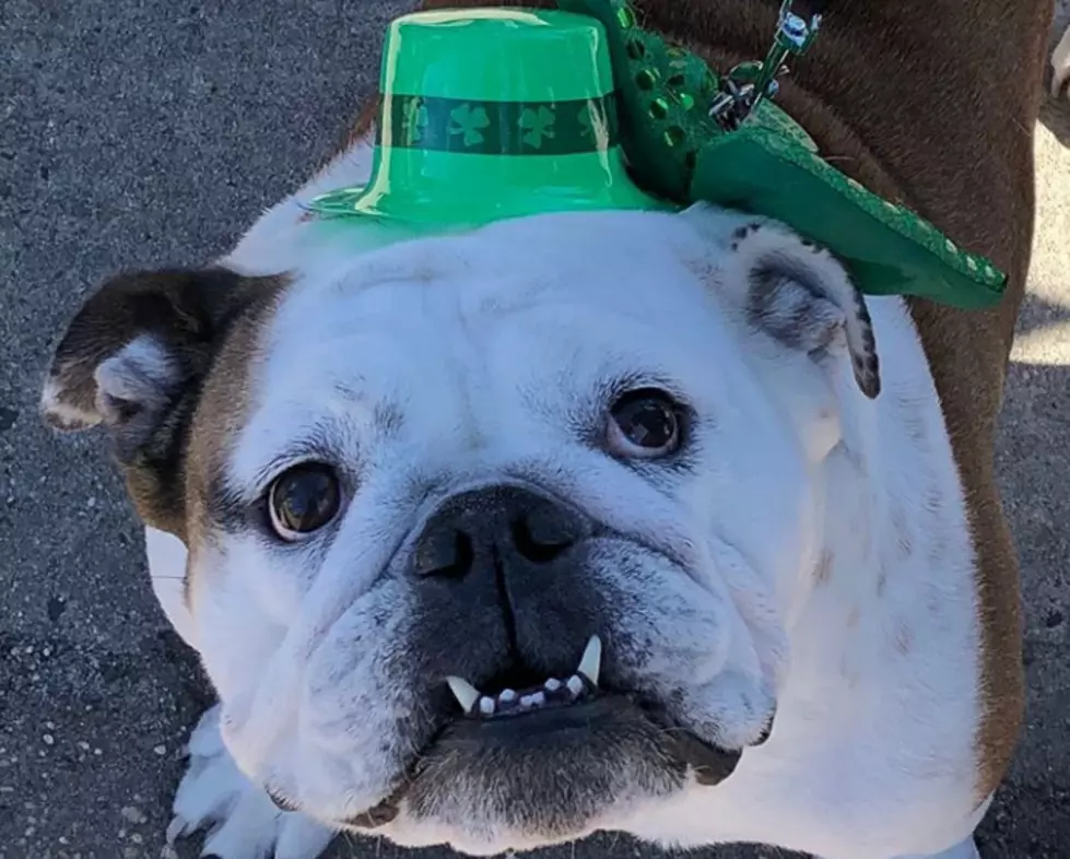 The Best Instagram Pics from the Belmar St. Patick’s Day Parade