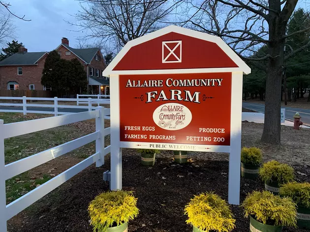 Connect with Allaire Community Farm