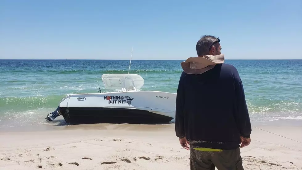 Whale Jumps Onto Boat in Seaside!