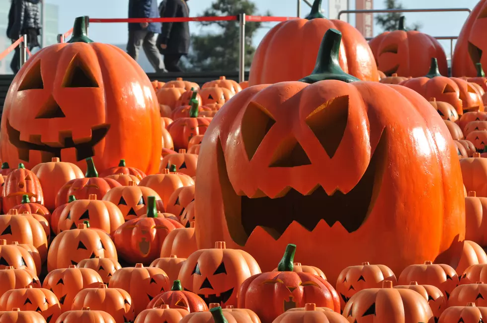 Check Out this NJ Drive-Thru that Features 5,000 Jack-O-Lanterns