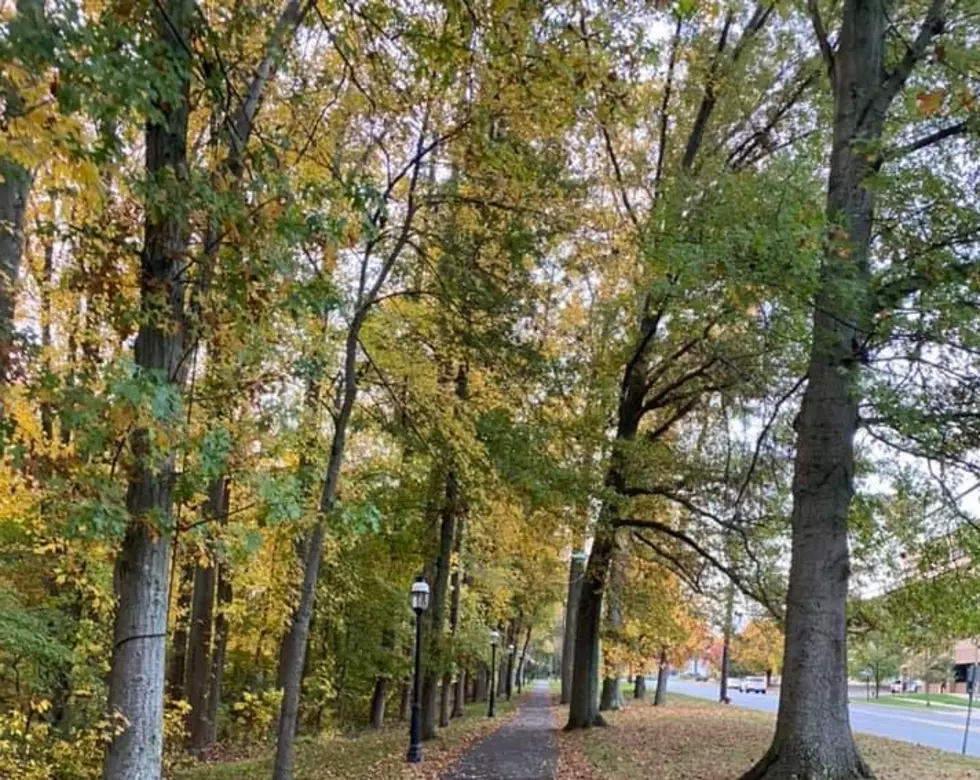 NJ Ranks Top 5 For Most Fall-Obsessed in the USA