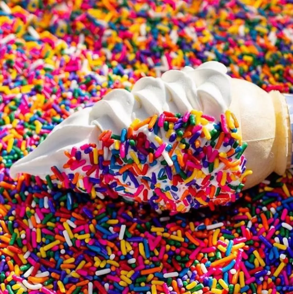 The Definitive List of the Sweetest Ice Cream Parlors in Monmouth County & Ocean County