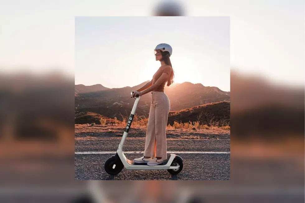 Point Pleasant Beach, Do You Want Scooters Zipping Around Town?