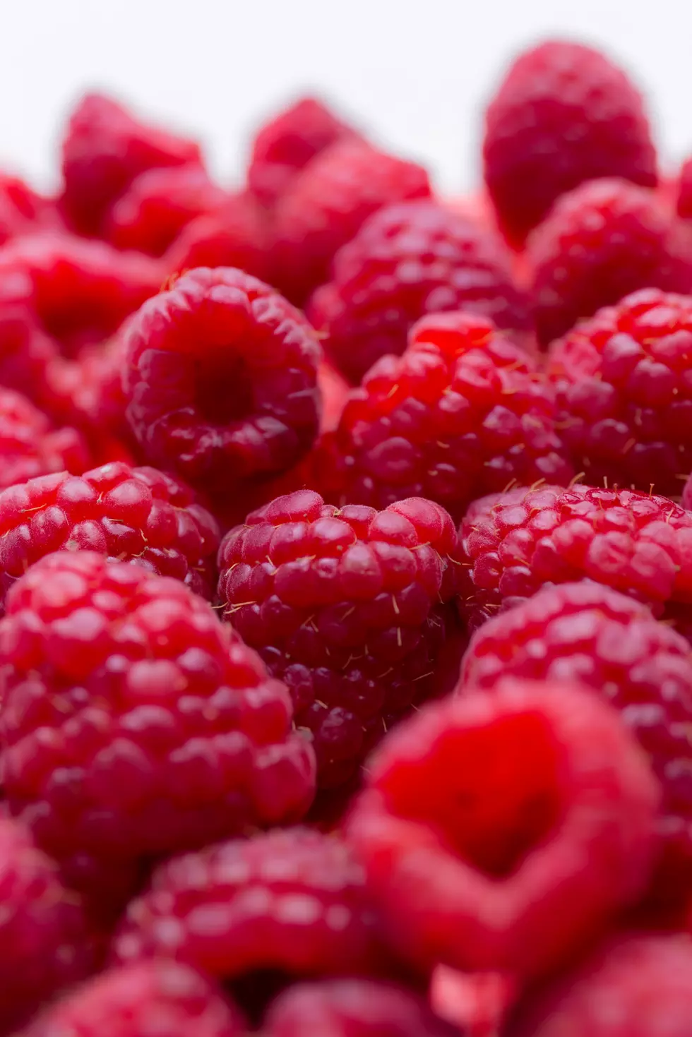 Almost Opening Day! Pick Your Own Raspberries At Happy Day Farm In Manalapan, New Jersey