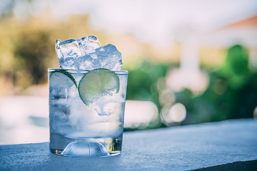 Cheers! New Jersey Distillery Awarded Best Gin in the Entire World