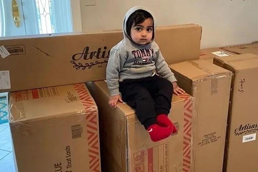 New Jersey Toddler Buys 2K Dollars In Furniture On Mom's Phone
