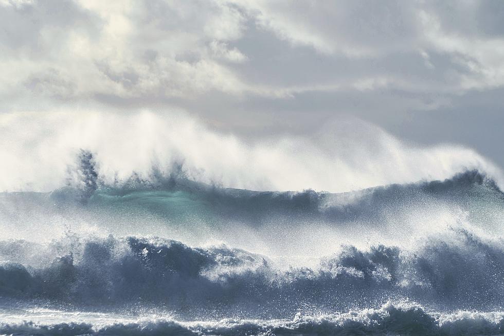 Massive January Swell Has Surfers At The Jersey Shore Going Nuts
