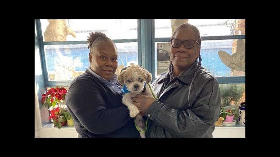Stolen Dog Missing For Five Years Happily Reunited With Family In New Jersey