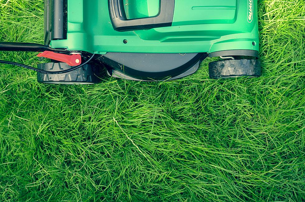 Experts Warn Don&#8217;t Mow Your Lawn During The Month Of May In New Jersey