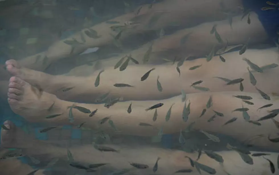 Would You Pay Money To Have Live Fish Eat Your Feet In New Jersey?