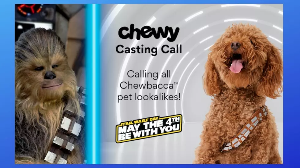 This Major Pet Casting Call Could Make Your Fur Baby A Star In New Jersey