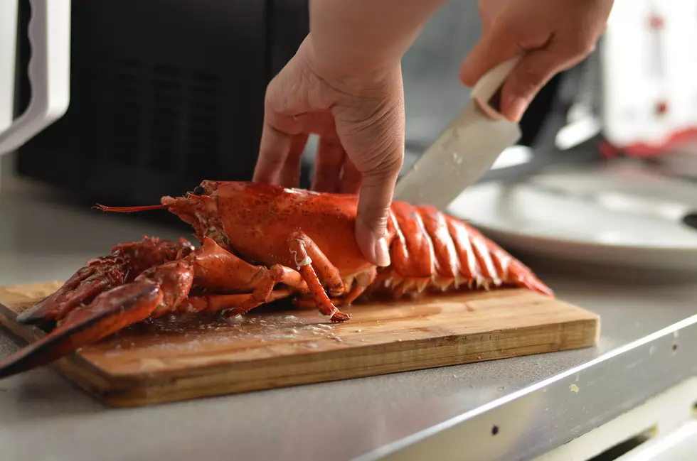 Point Pleasant Restaurant -  Best Lobster Roll