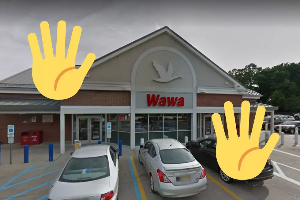 Plans for another Wawa in NJ got nixed and nature lovers rejoiced (Opinion)