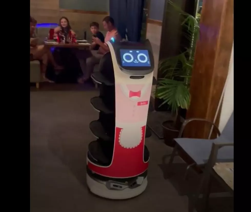 Watch Robot Server Care For Customers At Restaurant In Lavallette