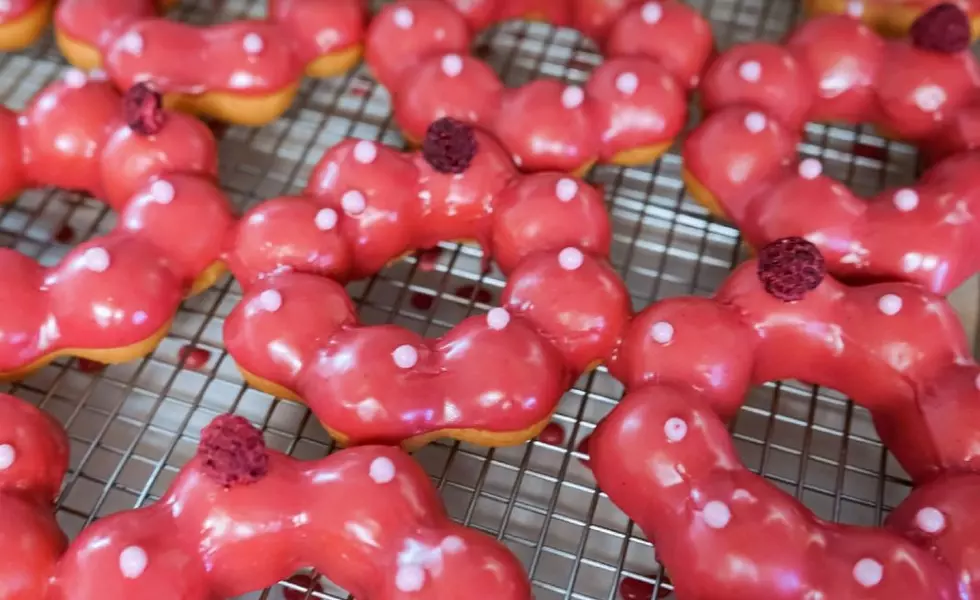 Bakery Specializing In Japanese Doughnuts Opening 12 NJ Locations