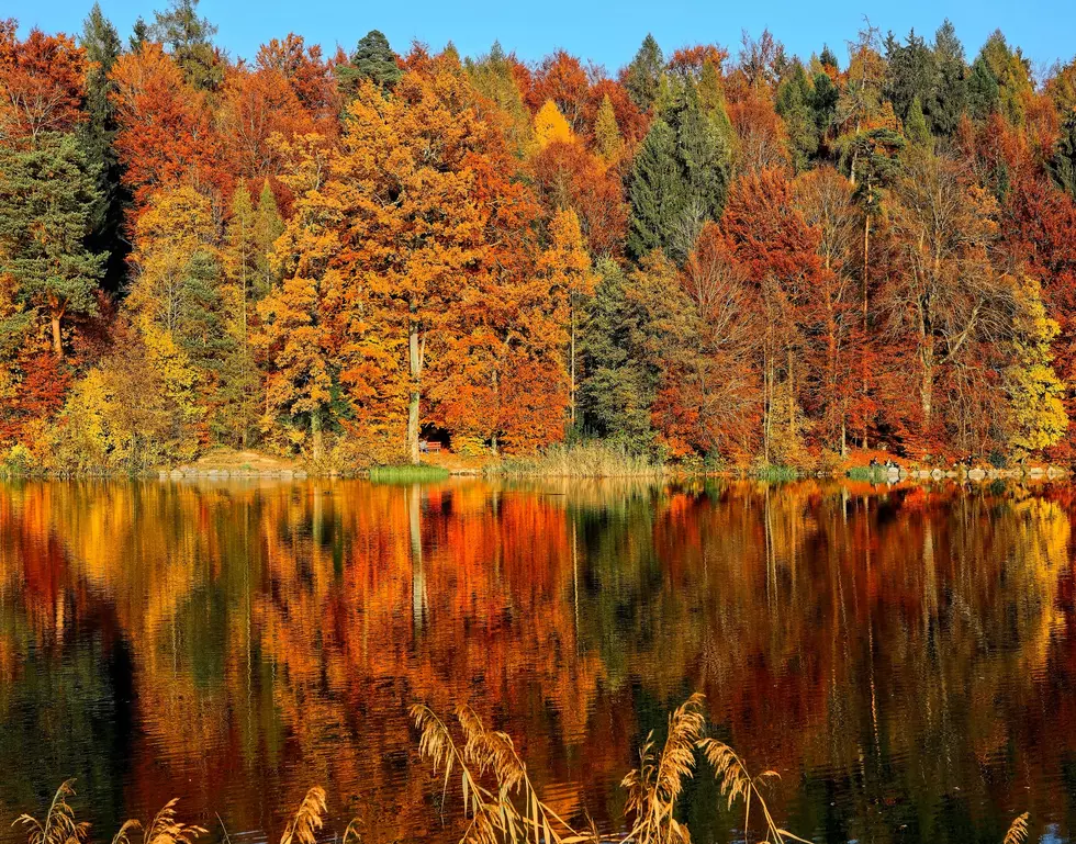 NJ Town Makes List For Best Fall Foliage In America