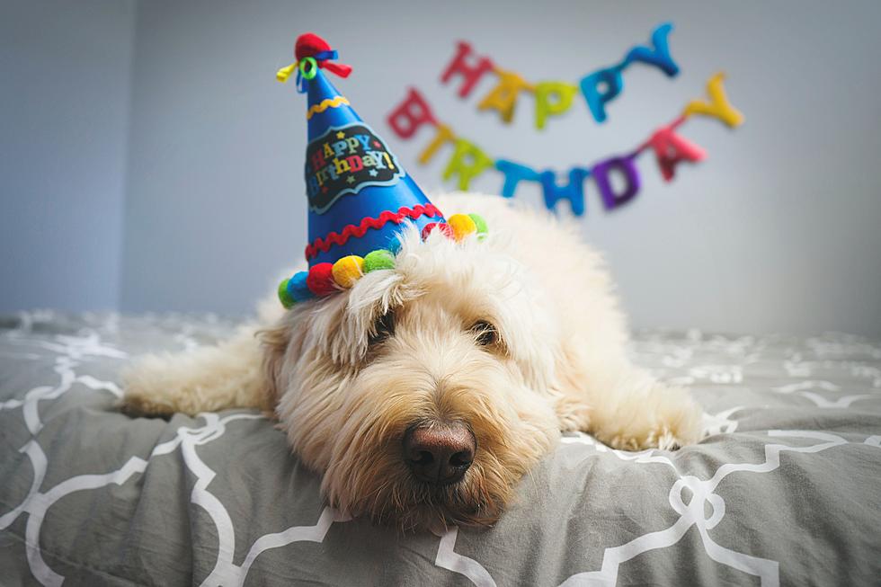 Don&#8217;t Miss These Birthday Freebies In New Jersey