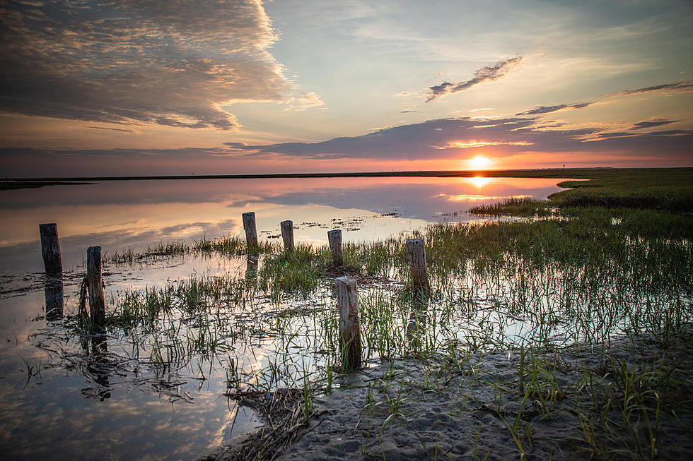 From Coast to Climate: NJNG&#8217;s Initiative to Restore Barnegat Bay&#8217;s Wetlands