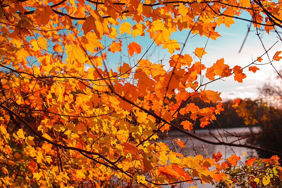 NJ Town Named One Of America's Best Fall Foliage Spots