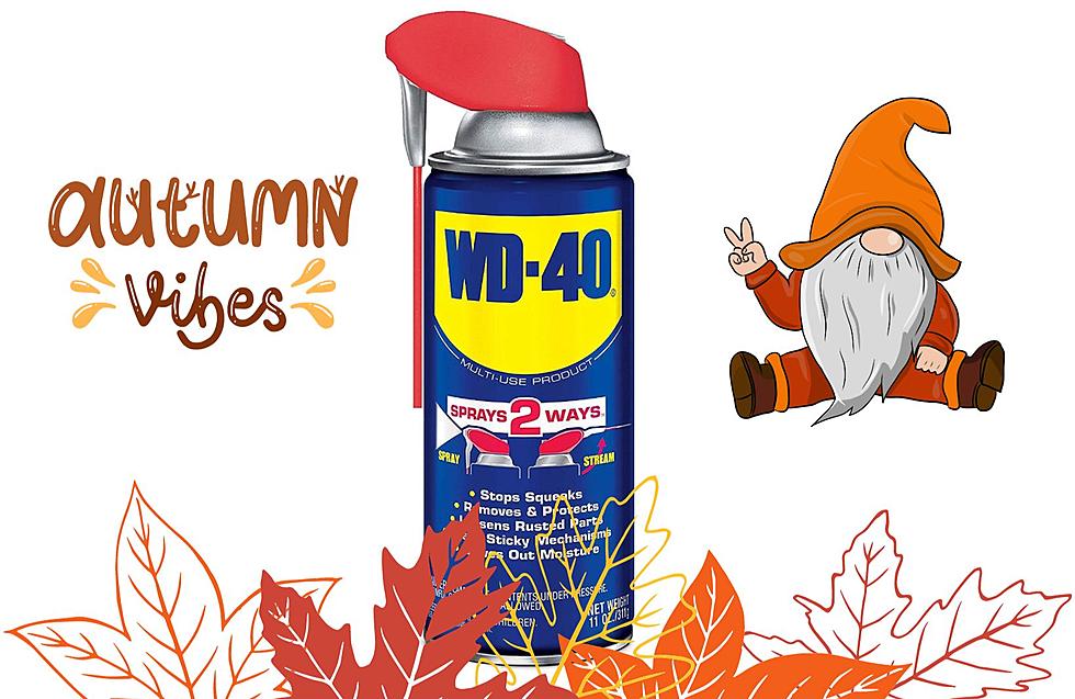 Why is WD-40 Flying Off Shelves All of a Sudden in New Jersey?