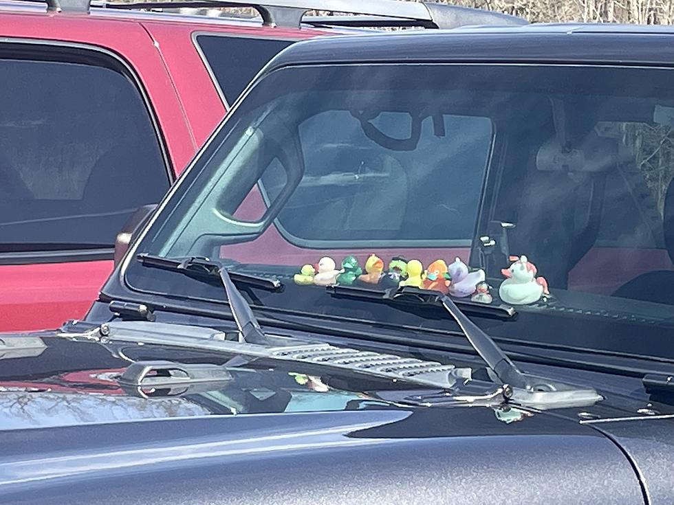 Why Do Jeeps In New Jersey Have Rubber Ducks On The Dashboard?