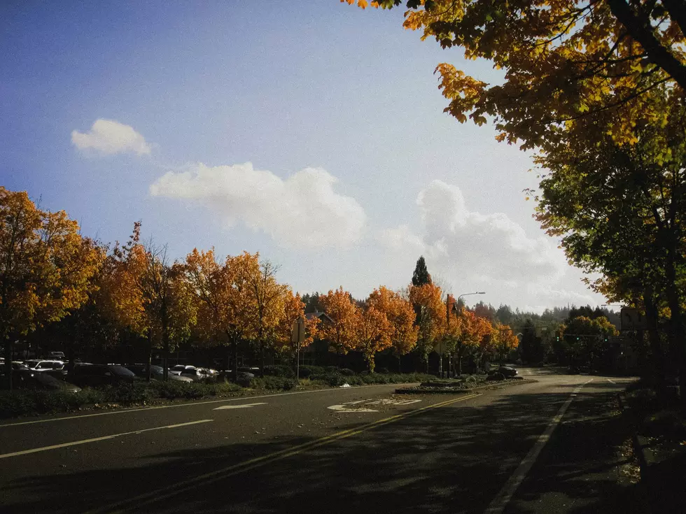New Jersey Shines with 4 Small Towns on East Coast Top 25