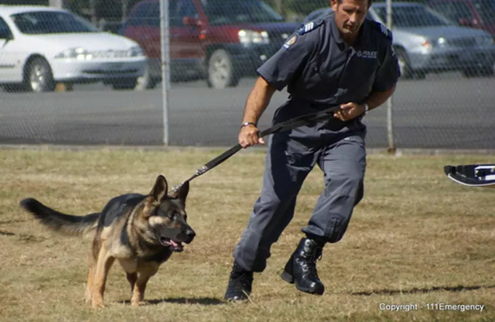 Protecting NJ’s Law Enforcement Animals