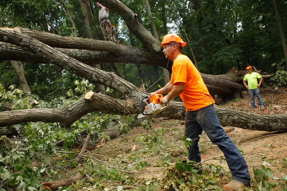 South Jersey Storm Assessments Underway As More Power Restored [AUDIO]